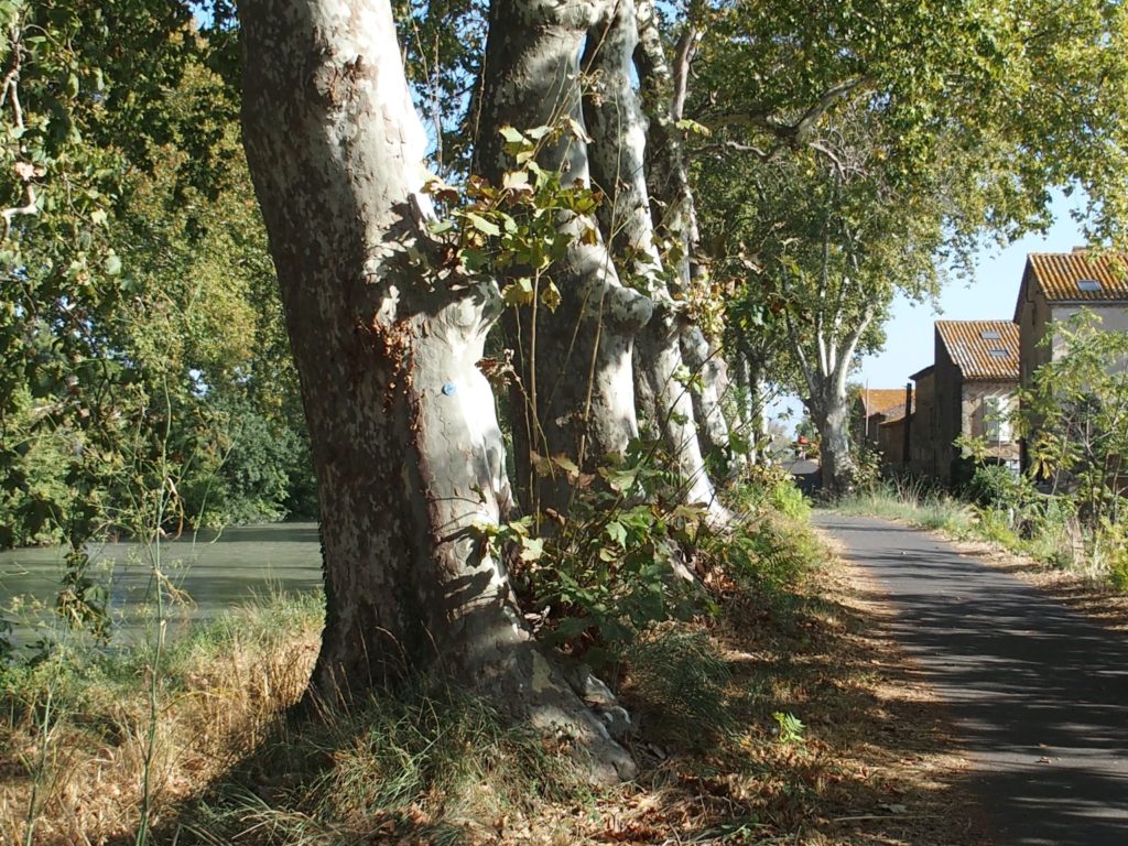 Pyöräretki Canal du Midi on ulkoilua parhaimmillaan